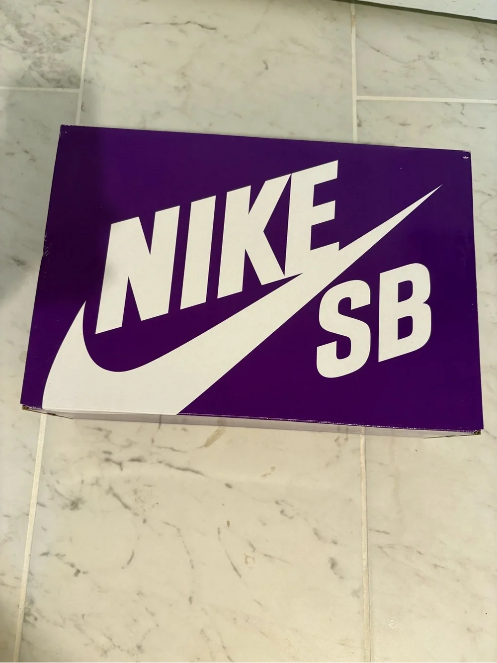 NIB NIKE SB Men’s Grey And Red Vertebrae Shoes
